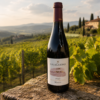 Merlot Friuli DOC Villa Chiopris - Caja de 6 botellas